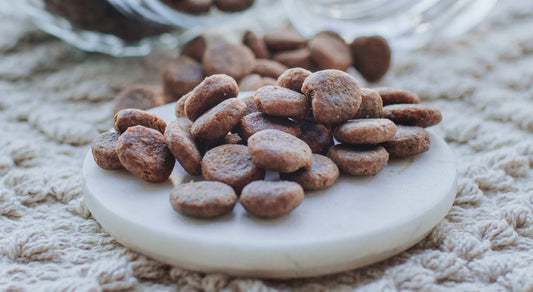 The Benefits Of Insect Treats