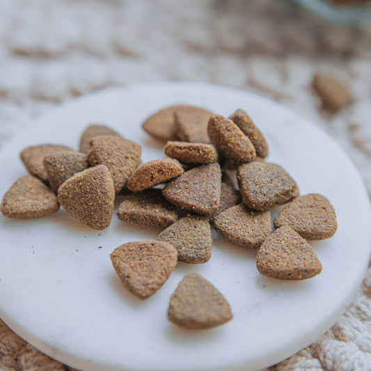 Buffalo & Blackberry Bites (25g | 100g)