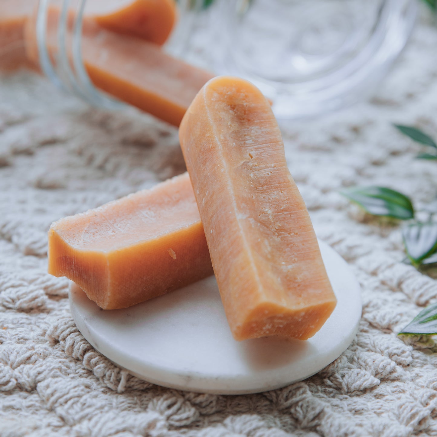 Carrot Yak | Medium