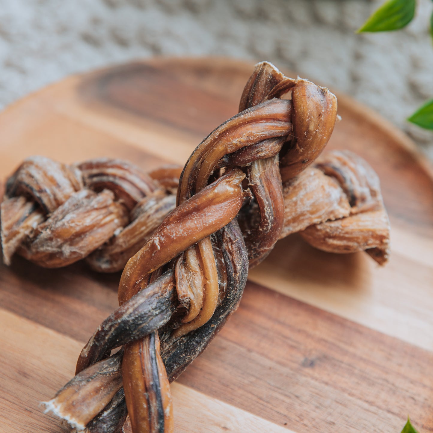 'Lean, Mean, Tail-Wagging Machine' Braided Pizzles
