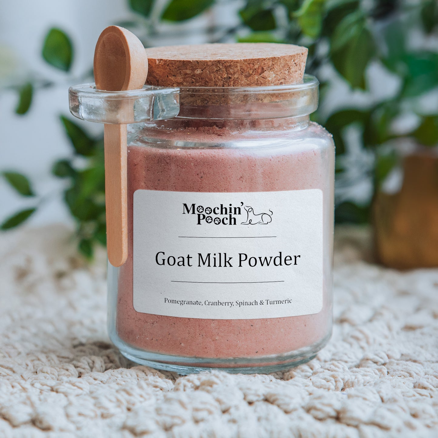 Camel & Goat Milk Powders (Jar - approx. 100g Powder)