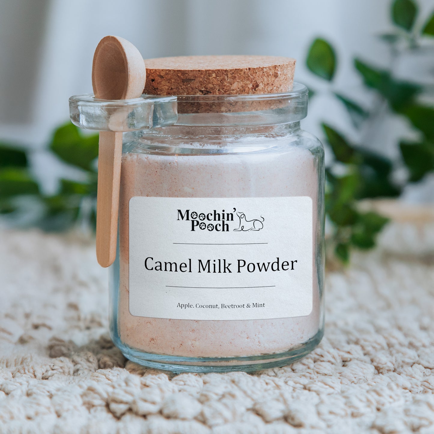 Camel & Goat Milk Powders (Jar - approx. 100g Powder)