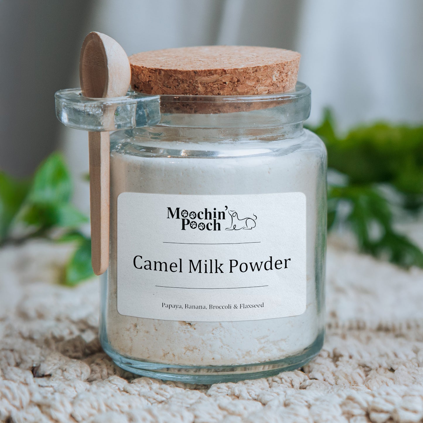 Camel & Goat Milk Powders (Jar - approx. 100g Powder)