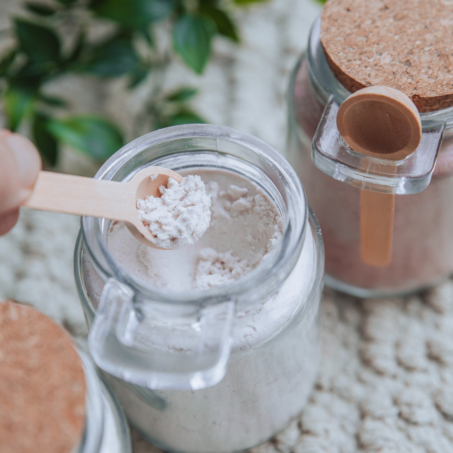 Camel & Goat Milk Powders (Jar - approx. 100g Powder)