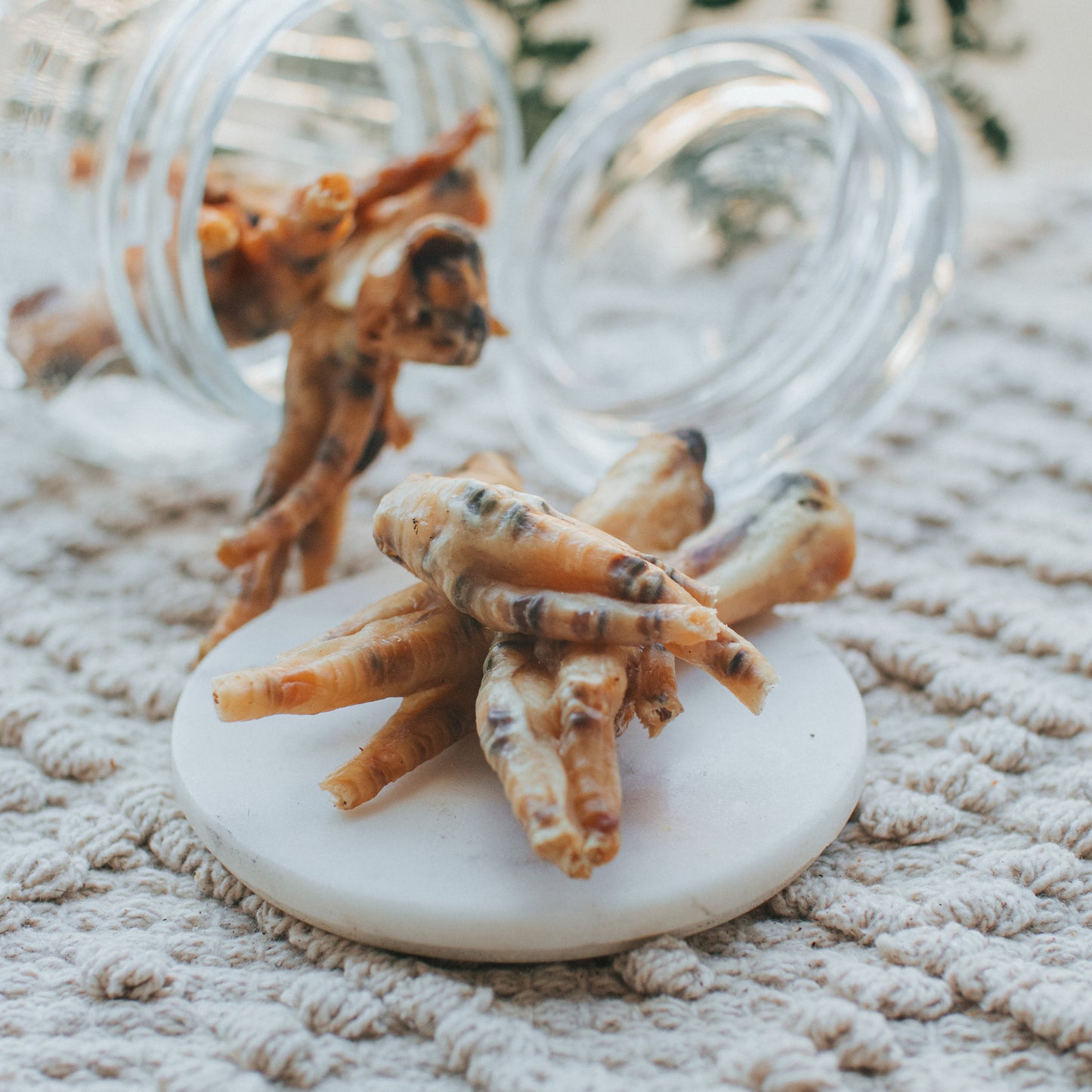 'Rule The Roost' Chicken Feet