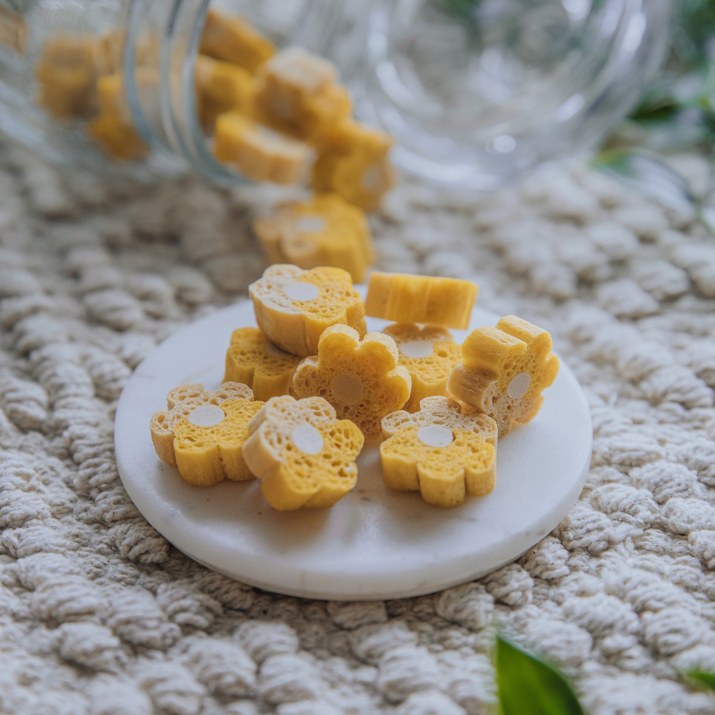 'Brushin’ Bites' Loofa Flowers (50g)