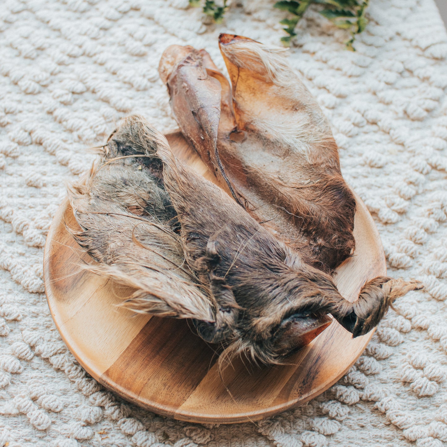 'Herd It Through The Grapevine' Cow Ear | Hairy