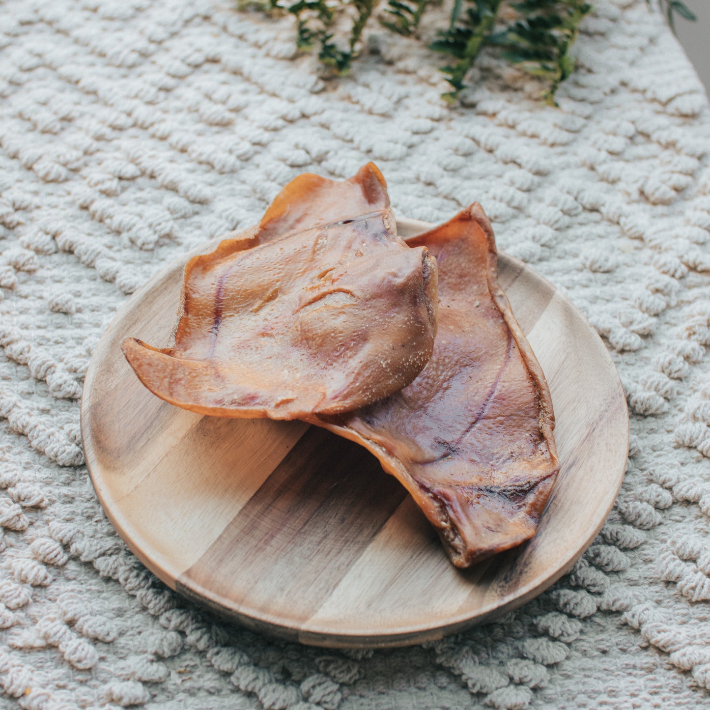 Pig Ear | Plain
