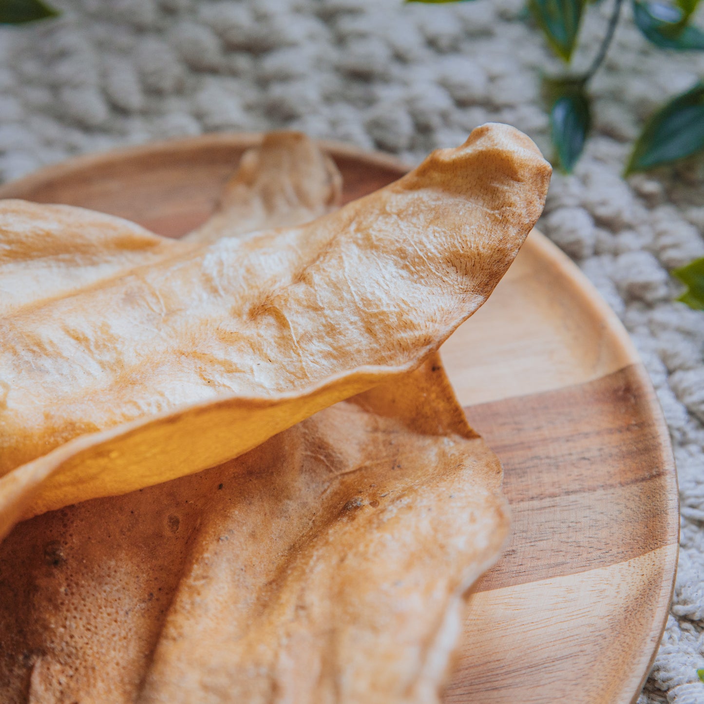Cow Ear | Plain | Large