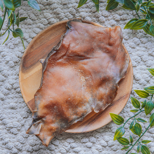 Camel Skin Plate | Various Sizes