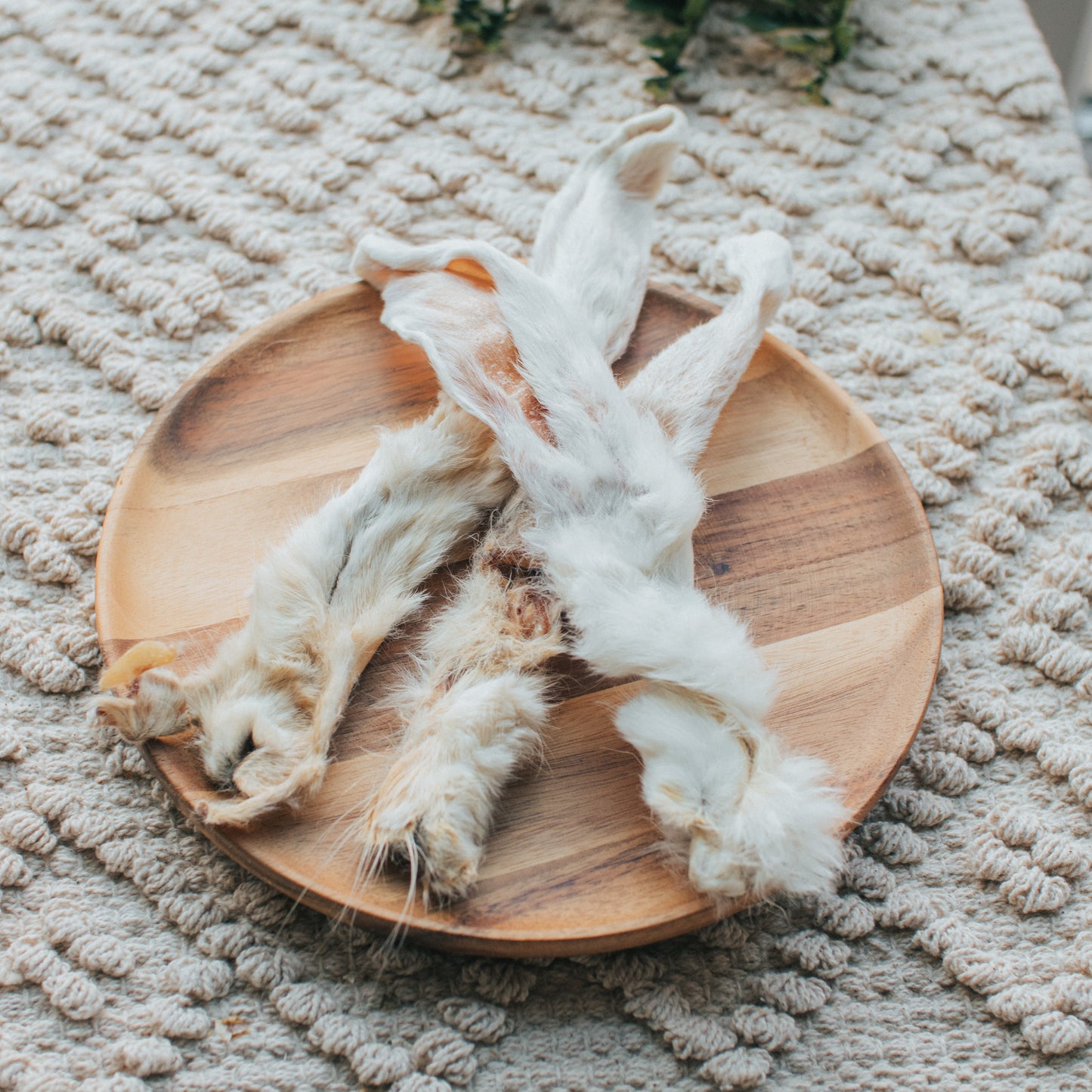 'They're Ear-resistible' Rabbit Ear | Hairy