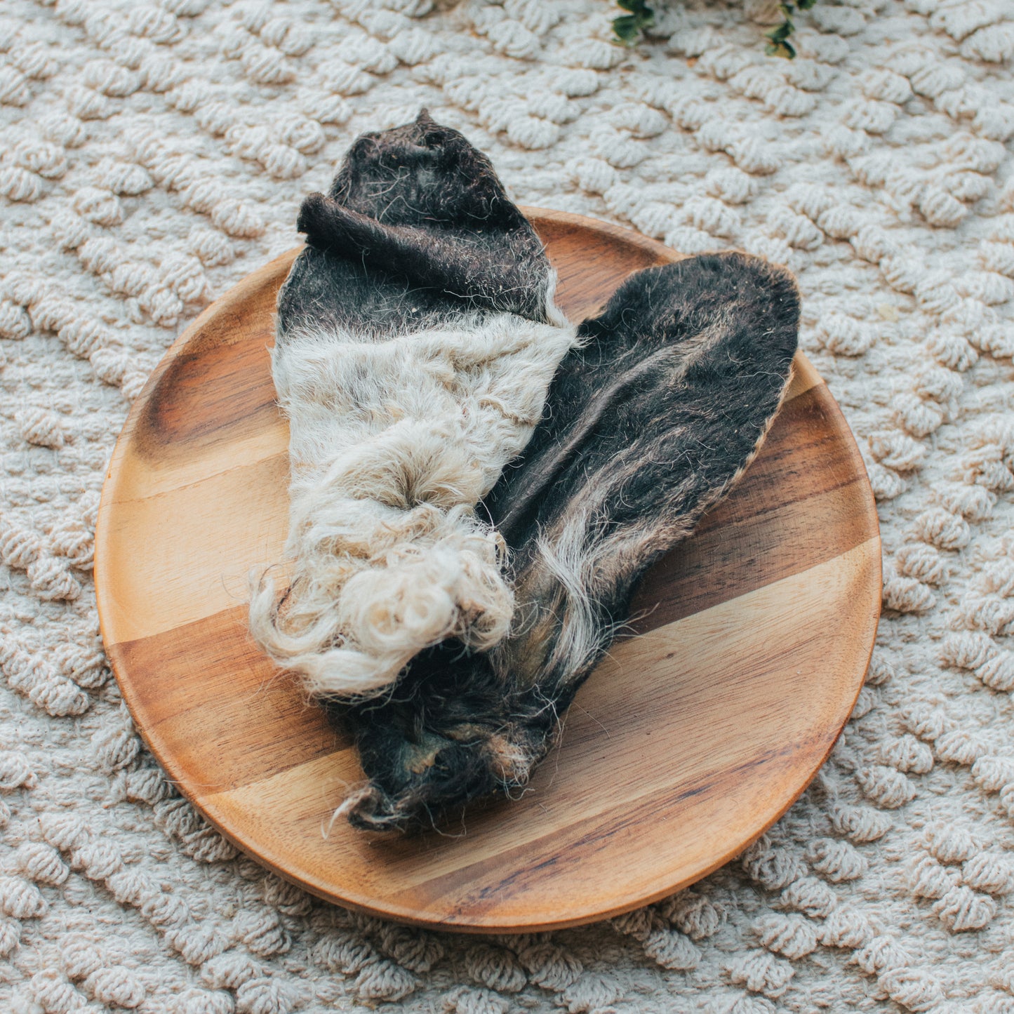 'Fur Real, It’s Baa-licious!' Lamb Ear | Hairy