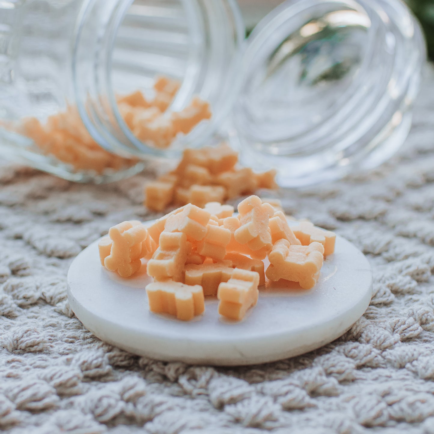 'Pay Your Cheese Tax' Bones (25g | 100g)