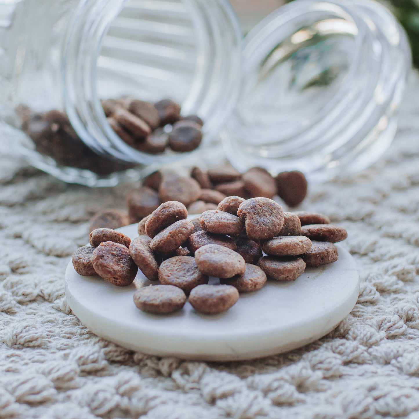 'I Must Insect These' Nibbles (25g | 100g)