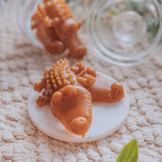 Croc Dental Chew | Various Flavours | Vegan