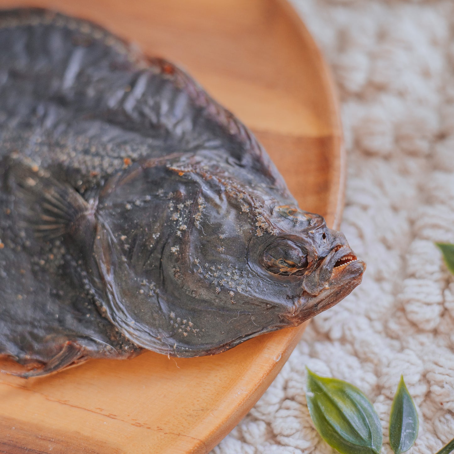 Flounder