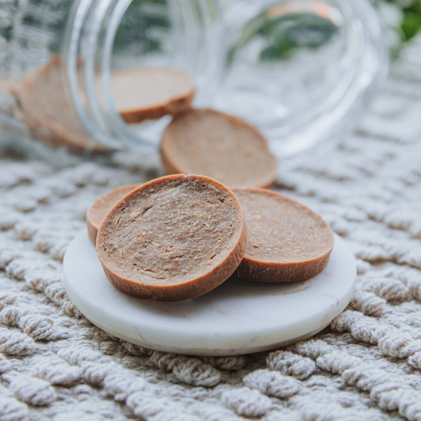 'Fin-ancially Delicious' Salmon Coins (Individual | 100g)