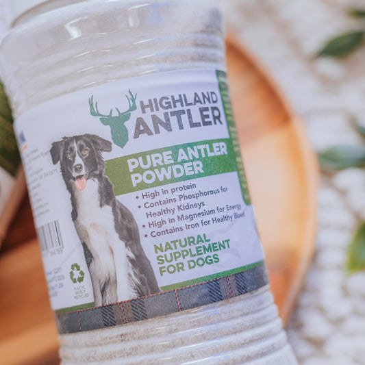Pure Antler Powder (500ml)