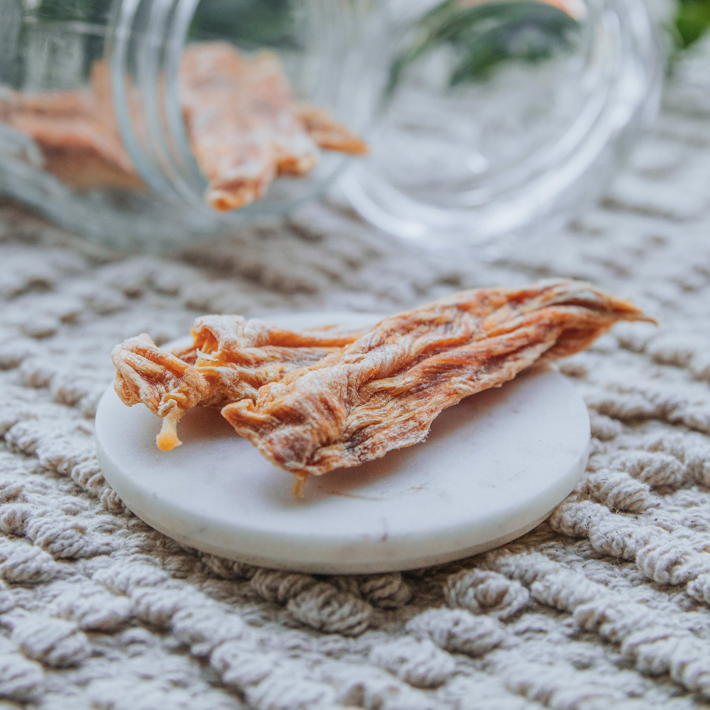 'Don't Be A Jerk!' Chicken Jerky (100g)