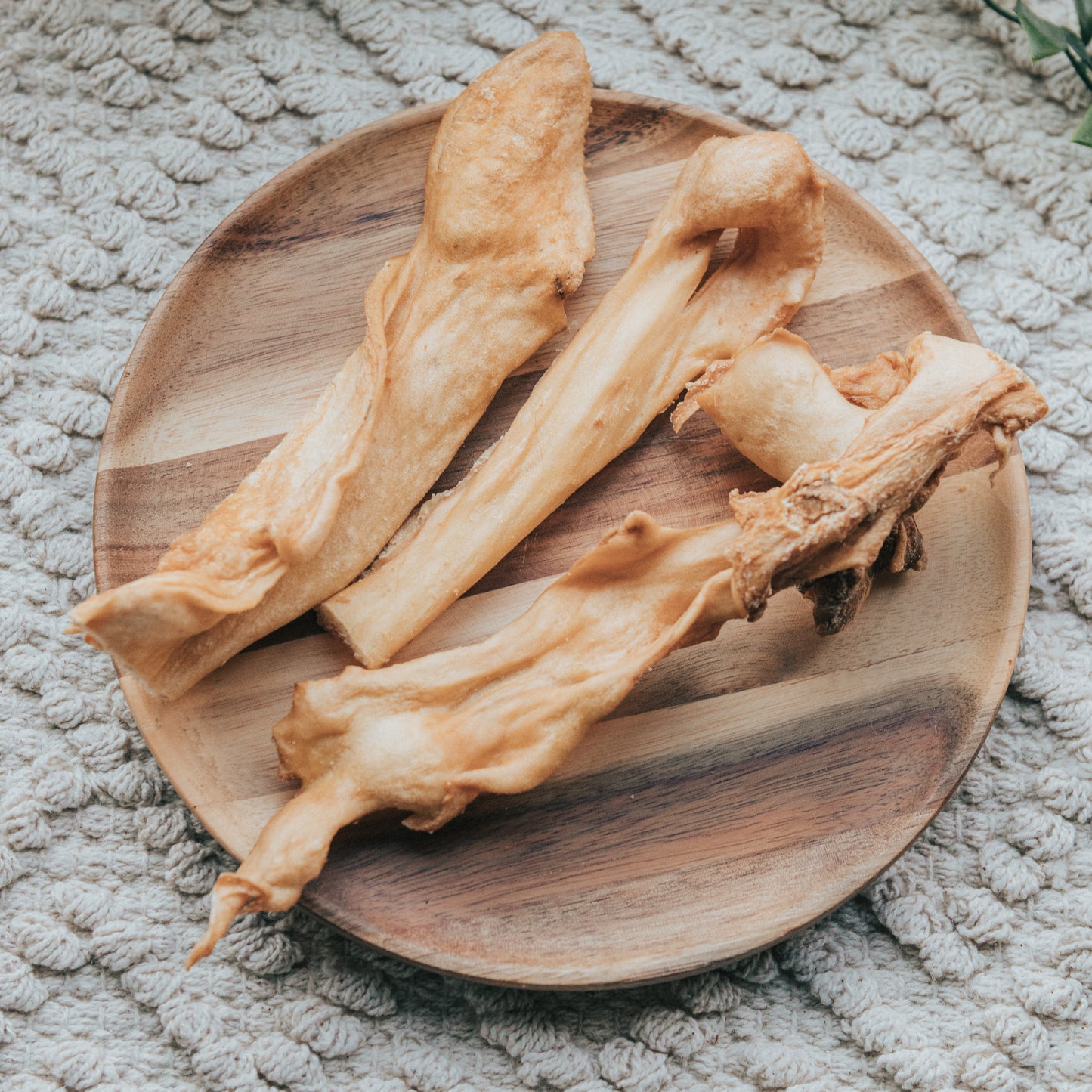 'Chews The Lamb Life' Lamb Skin Chew