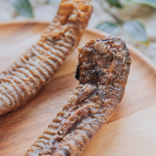 Lamb Trachea