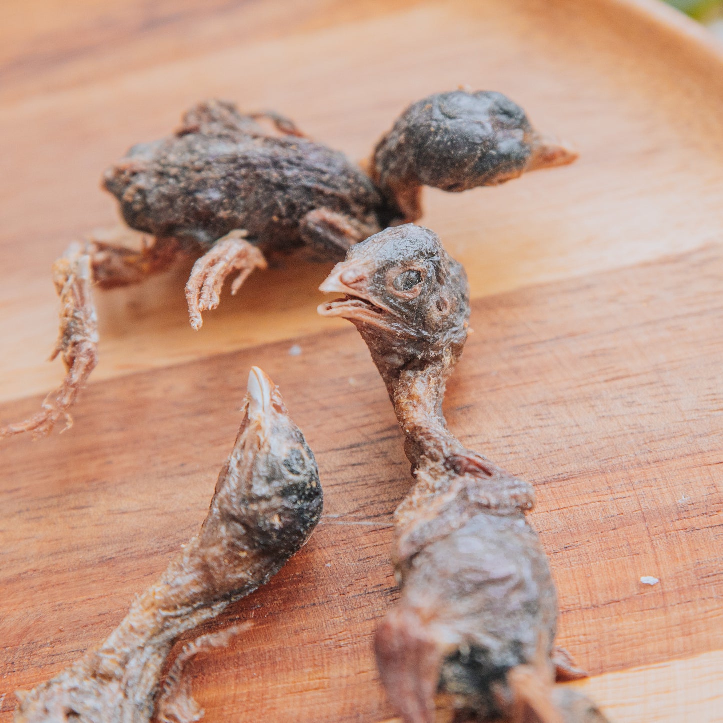 Freeze Dried Whole Quails | Waita (10g | 50g)