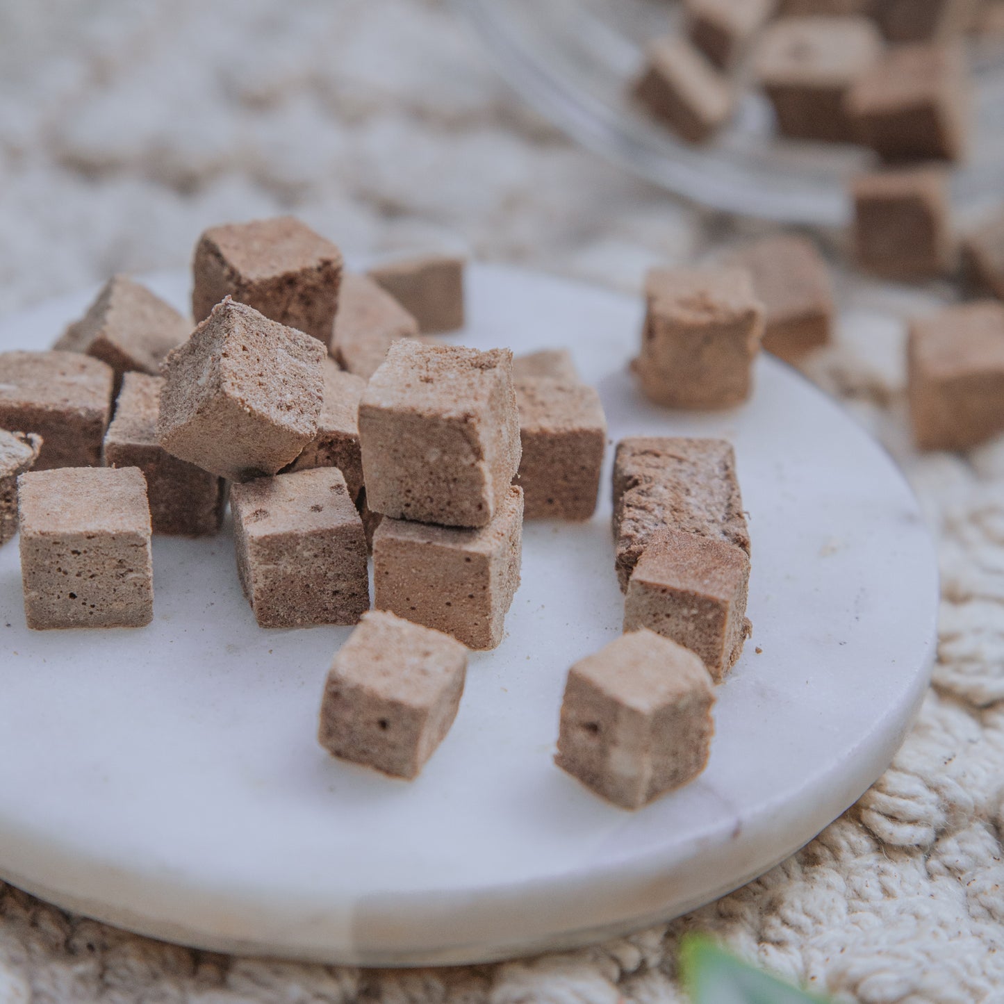 Freeze-Dried Pieces | Various Proteins (50g)