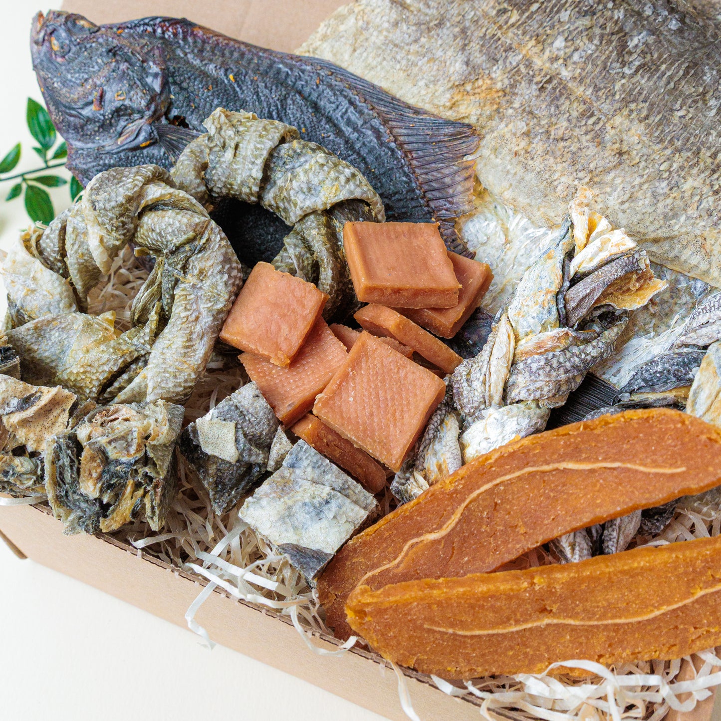 Catch Of The Day | Pooch Pack