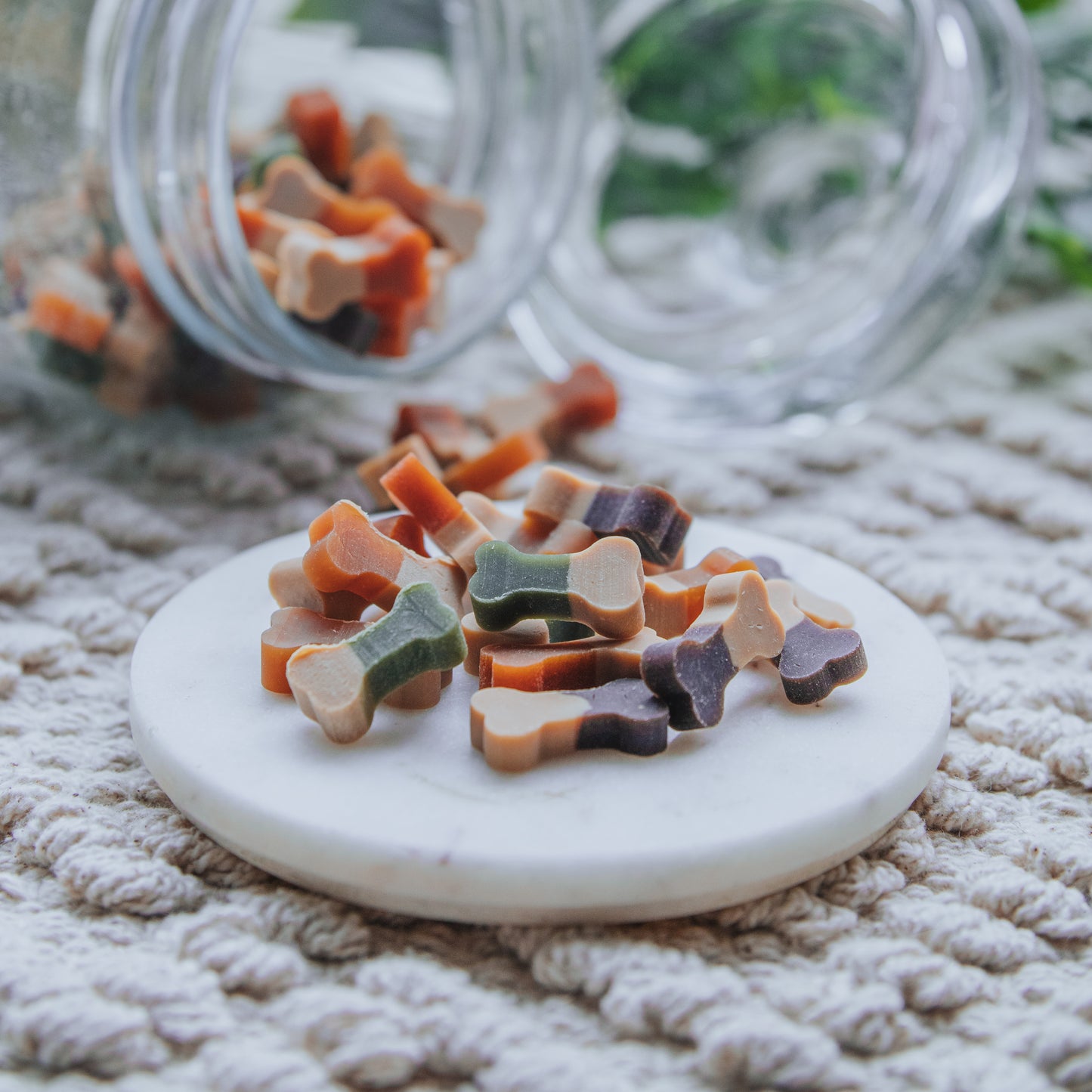 'Bone Appétit Veggies' Veggie Bones (25g |100g)