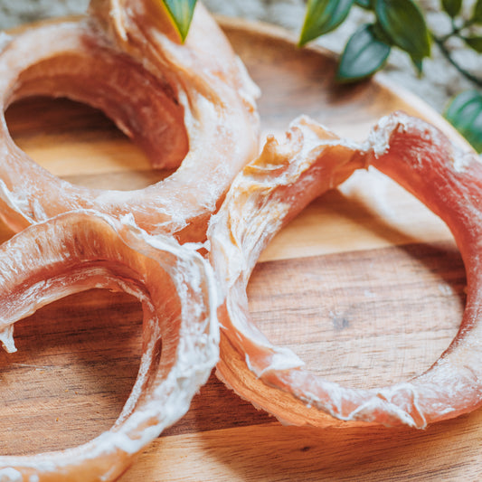 Bull Pizzle Ring