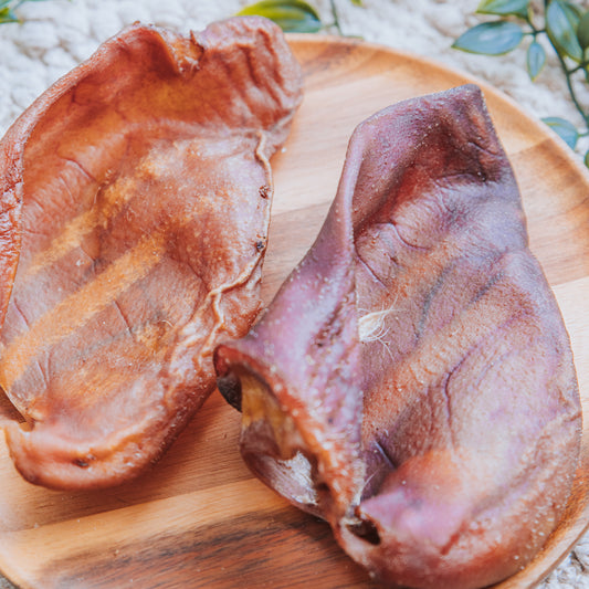 Pig Ear | Plain | Large