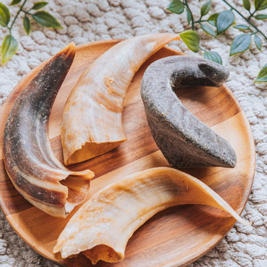Lamb Horn | Various Sizes