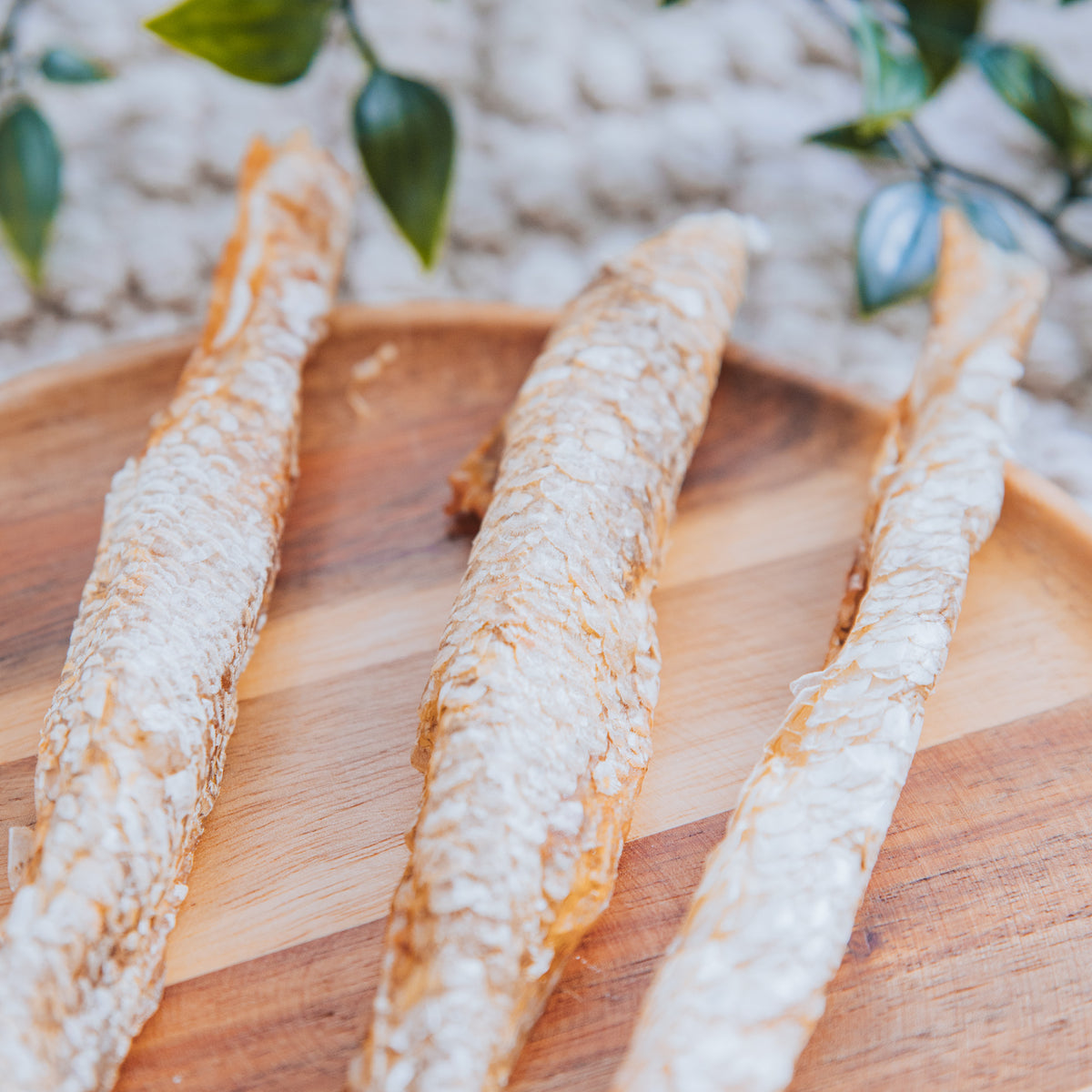 Seabass Straw