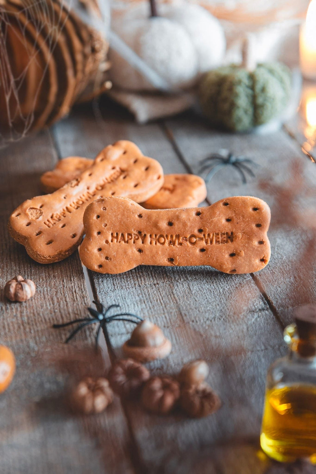 👻Apawtiser Spooky Snacks for Howl-O-Ween!🦇