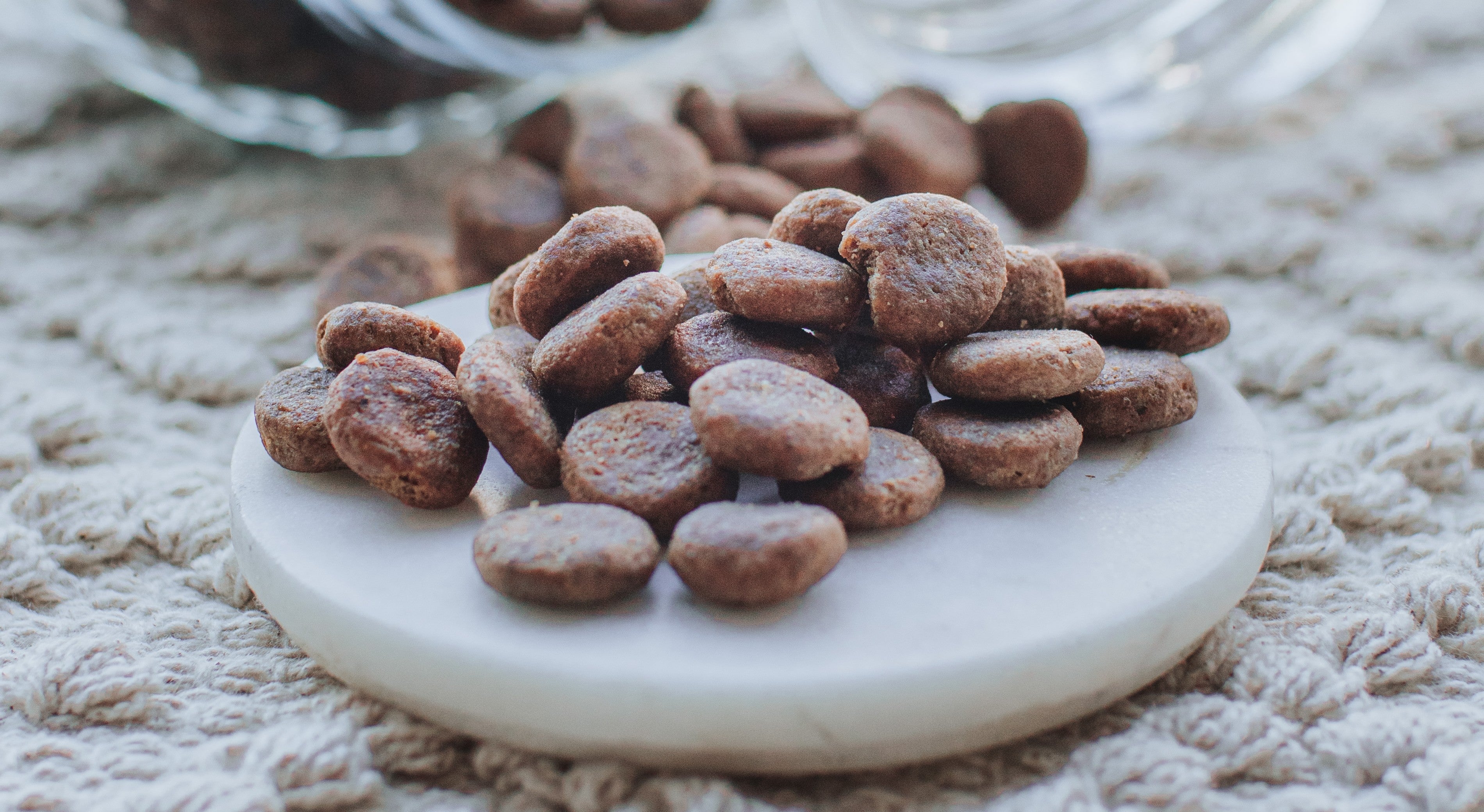 The Benefits Of Insect Treats – Moochin' Pooch