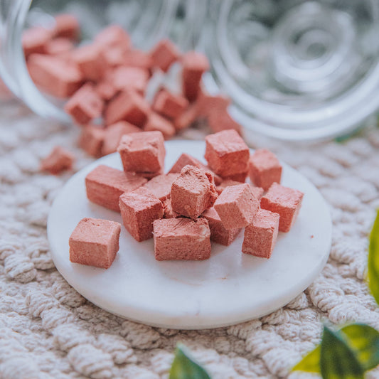 The Difference Between Air-Dried & Freeze-Dried Treats; And Why They Are Better For Your Dog!