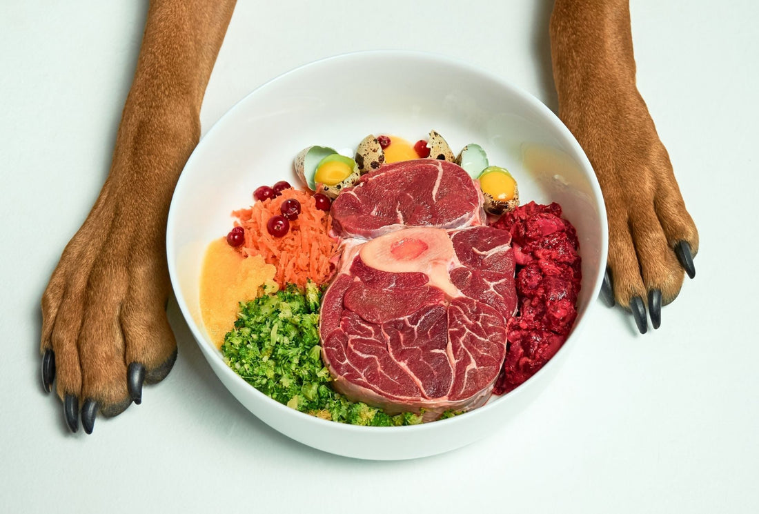 How Your Dog's Diet Affects Their Behaviour!