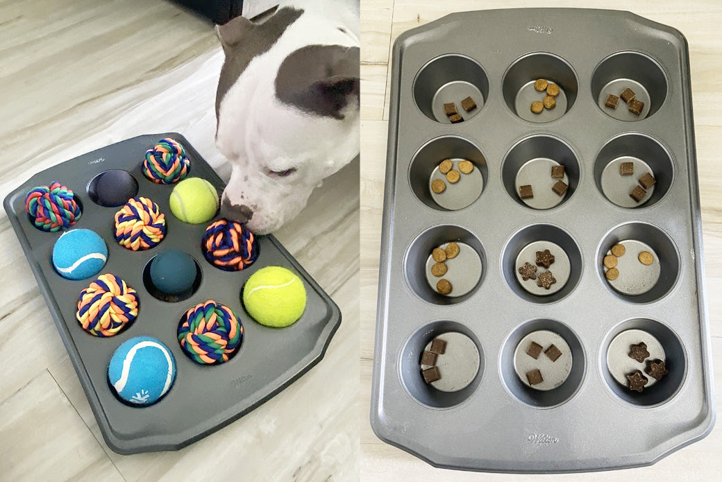 10 Enrichment Ideas For Your Dog At Home - Beat Those Canine Boredom Blues!