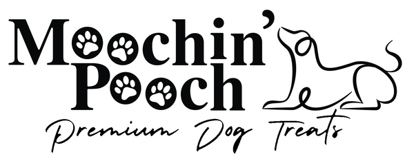 Moochin' Pooch