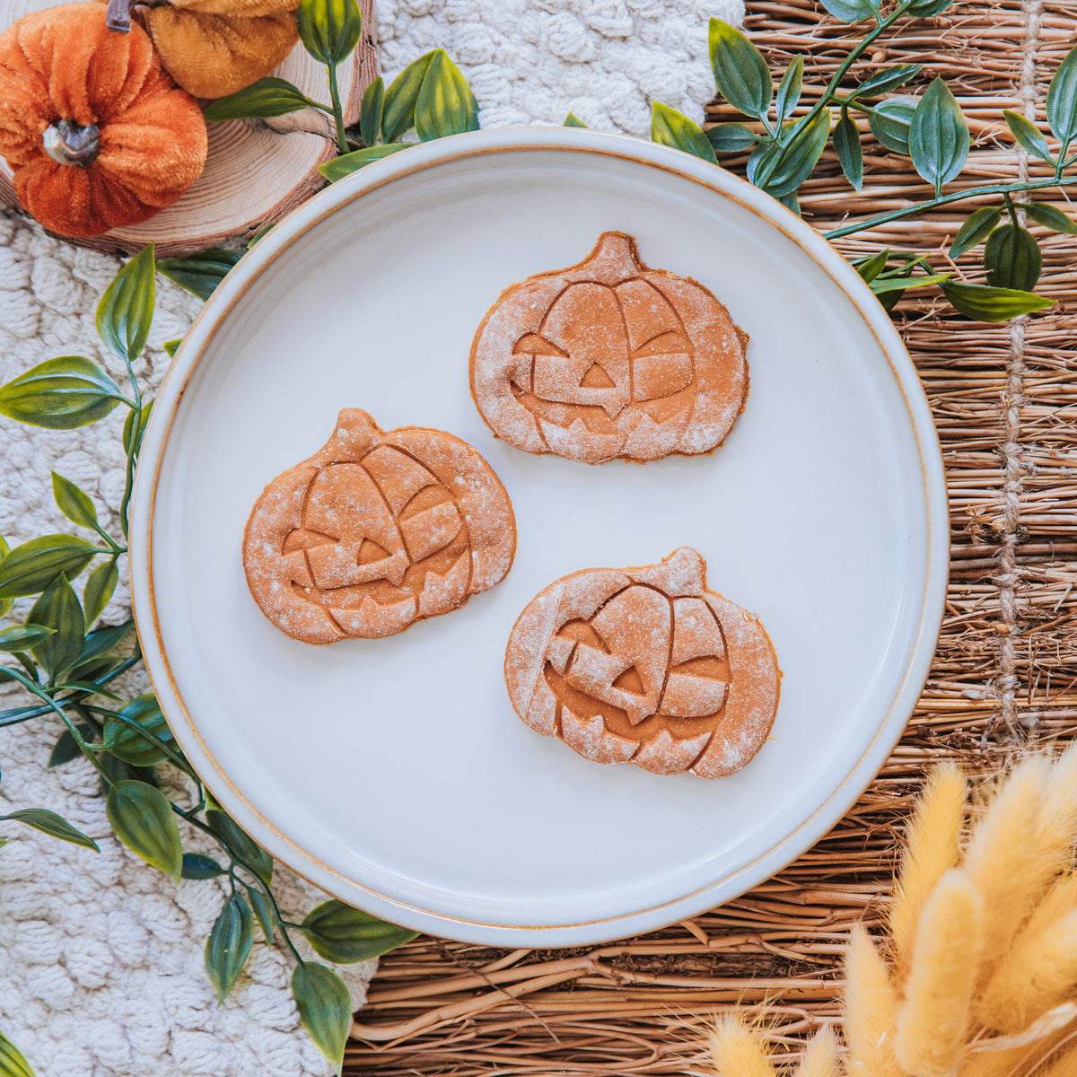 Halloween Pumpkin Biscuit | Apawtiser