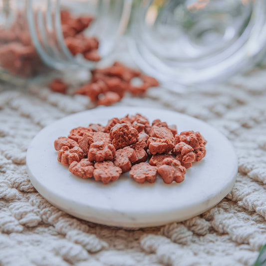 Salmon & Dill Mini Paw Biscuits | Betty Miller | Grain Free (25g | 100g)