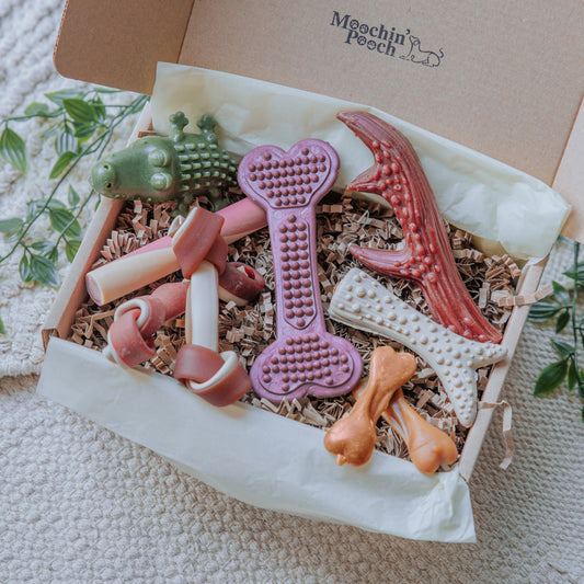 Plant Powered | Pooch Pack
