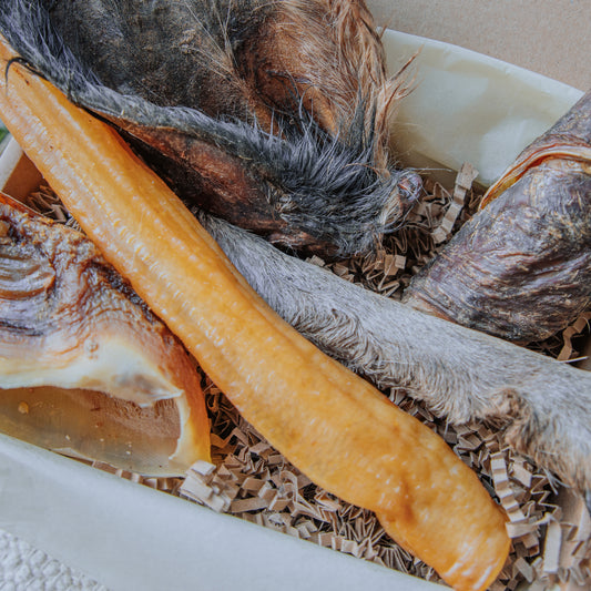 High Protein | Pooch Pack