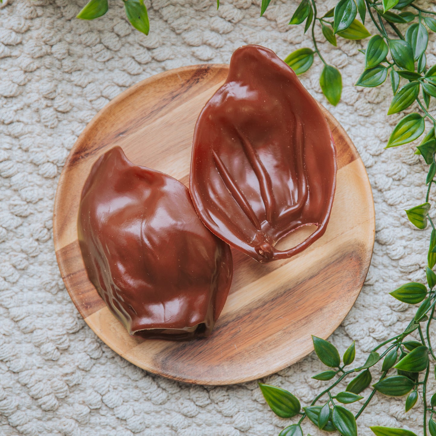 'Pig' Ear | Veggie