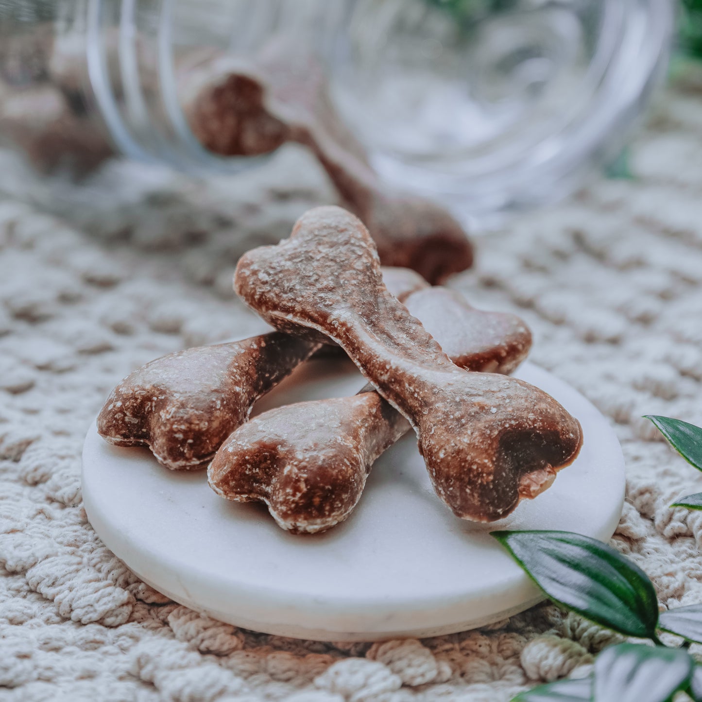 'Treat Dreams' Bed Time Biscuits | Veggie