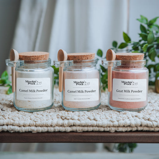 Camel & Goat Milk Powders (Jar - approx. 100g Powder)