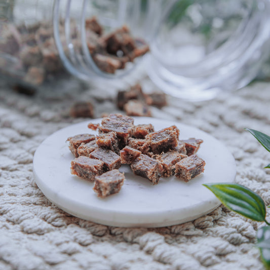 'Snap-tacular Treats' Crocodile Training Bites (25g | 100g)