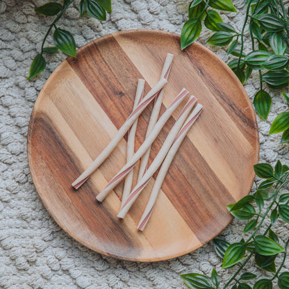 Soft Centre Twister Sticks | Veggie