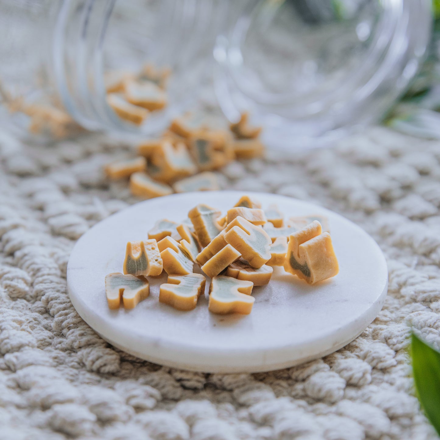 'Tooth Be Told' Dental Soft Bites (50g)