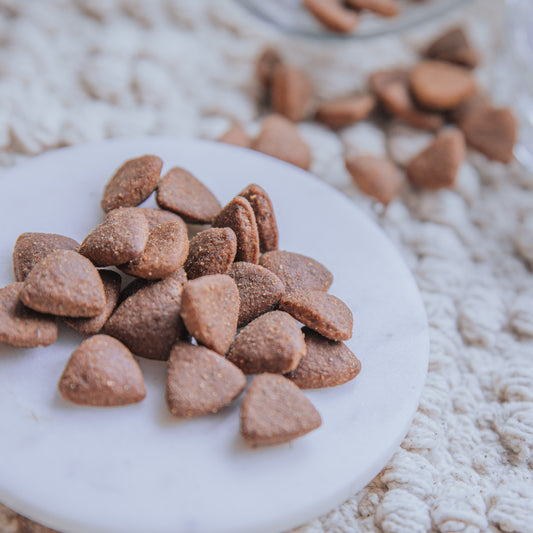 Duck & Superfood Blend Crunchy Nibbles (25g | 100g)